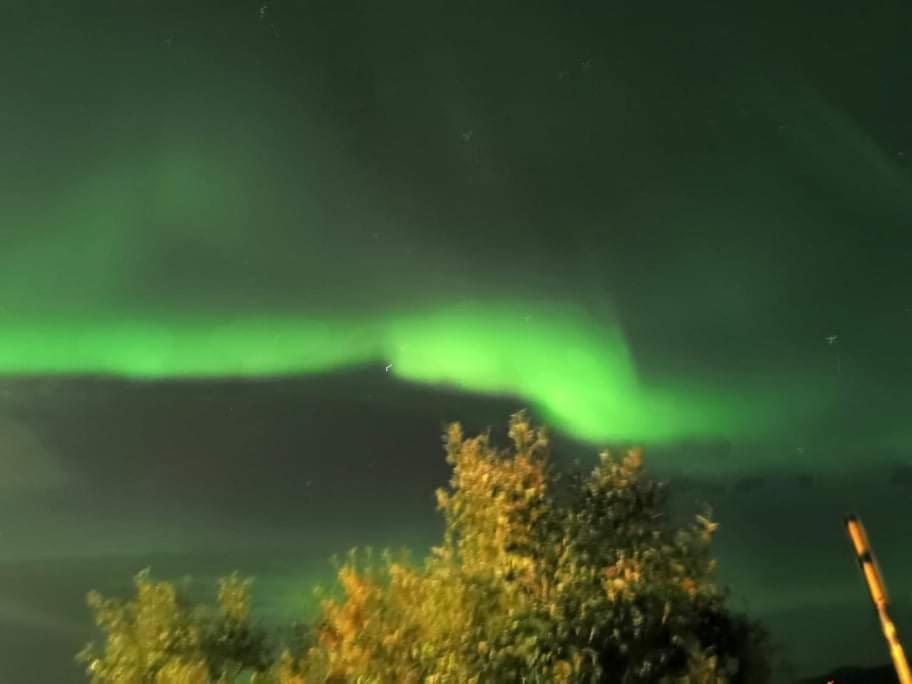 Aurora Rooms In Shared Apartment Nr2 We Are Doing Privet Northen Lights Trips, Reindeer Trip And Fjord Sommaroy Trip Тромсё Экстерьер фото